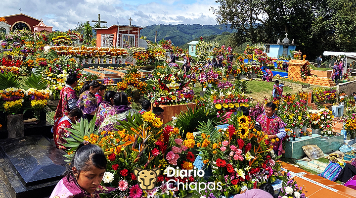 Zinacantán un destino lleno de flores