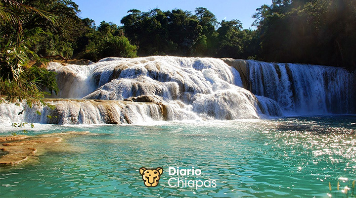 Mejores Cascadas dentro de Chiapas